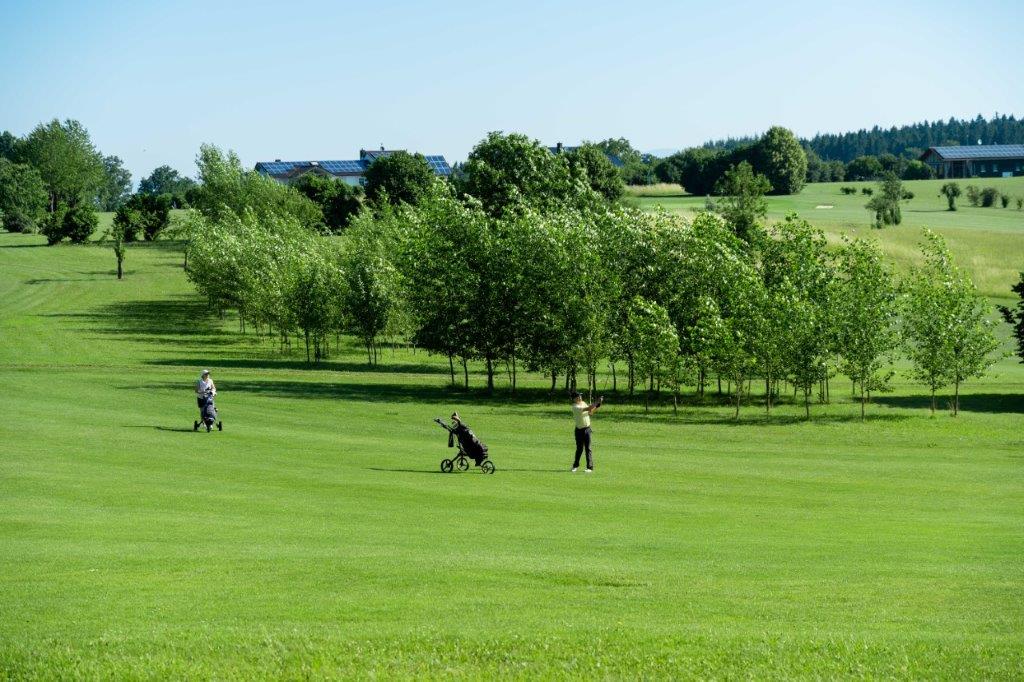 Golfplatz-35
