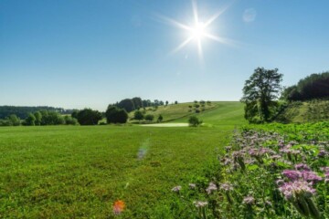 Golfplatz-11