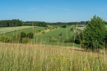 Golfplatz-20