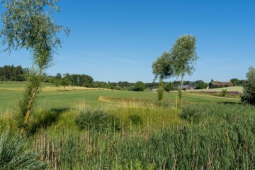 Golfplatz-21